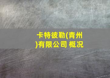 卡特彼勒(青州)有限公司 概况